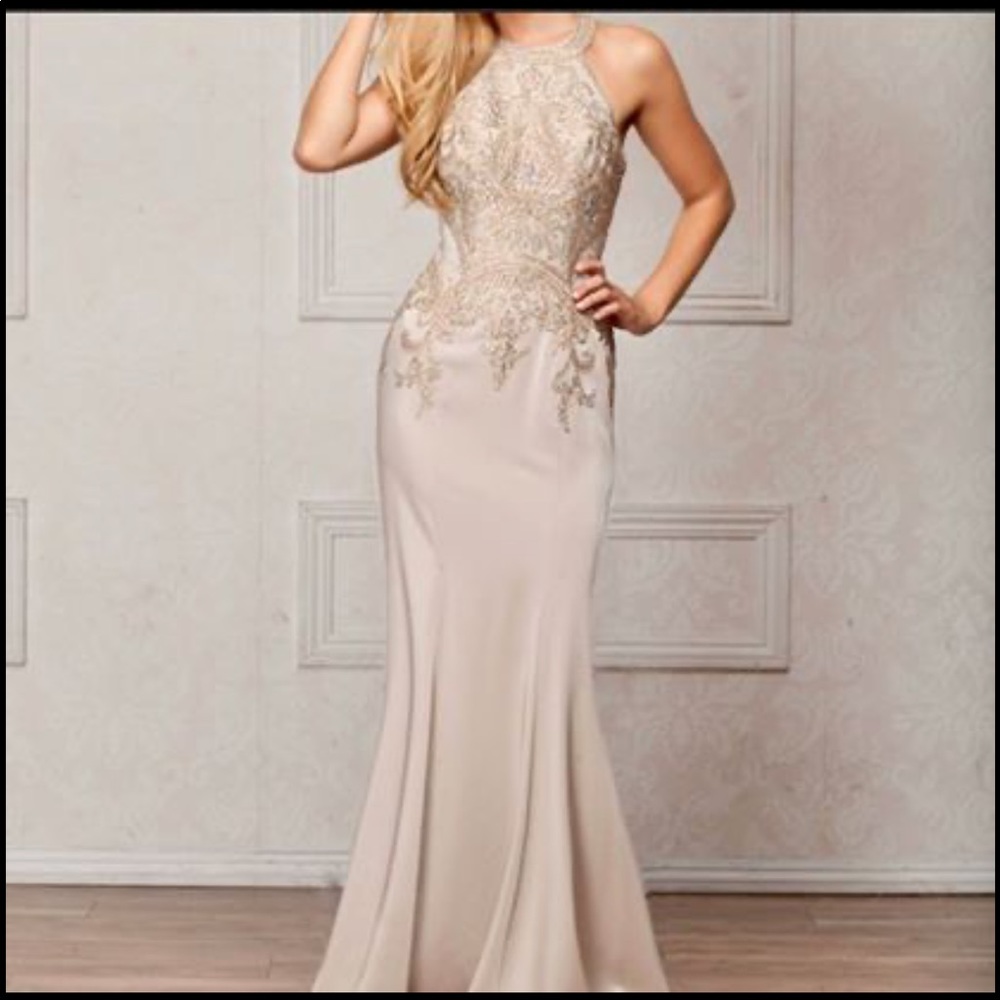 Beautiful evening gown,wedding guest, prom..NWT